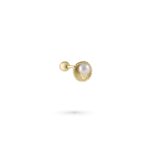 Shelly Tragus Piercing - Gold