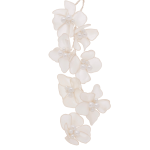 Lulu Pearl Buckle